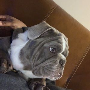 Meet your Posher, Marquita